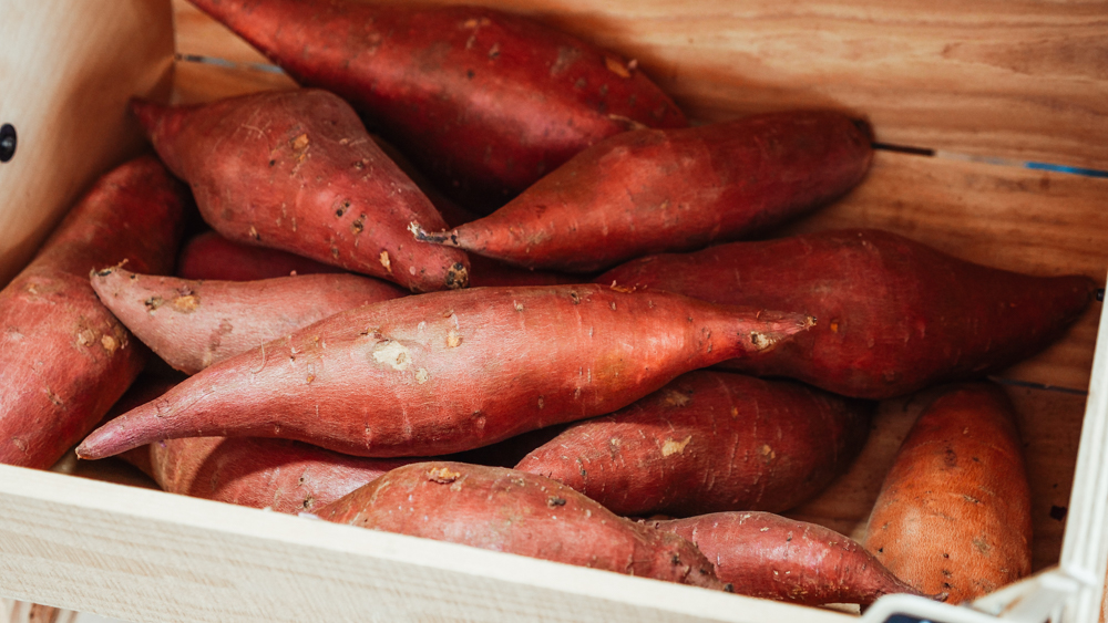 Zuurkool zoete aardappel stamppot