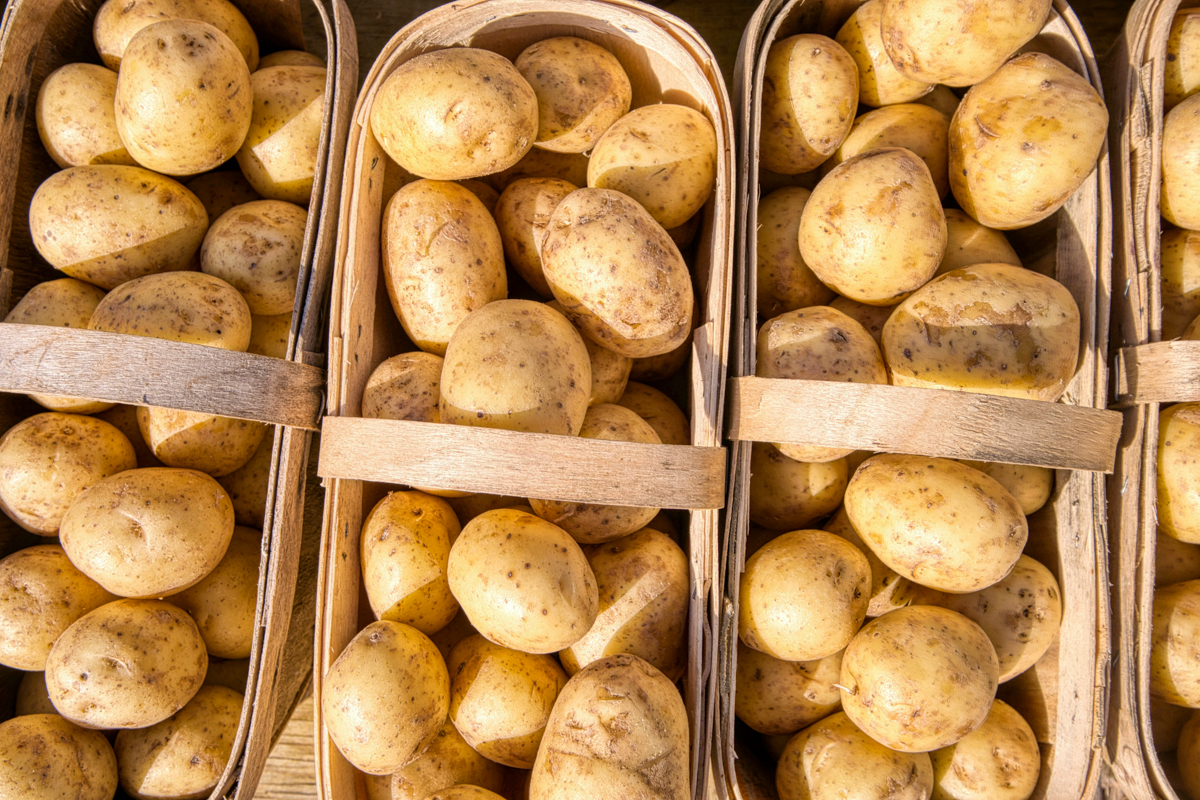 Lees meer over het artikel Aardappelen koken met schil: onze tips